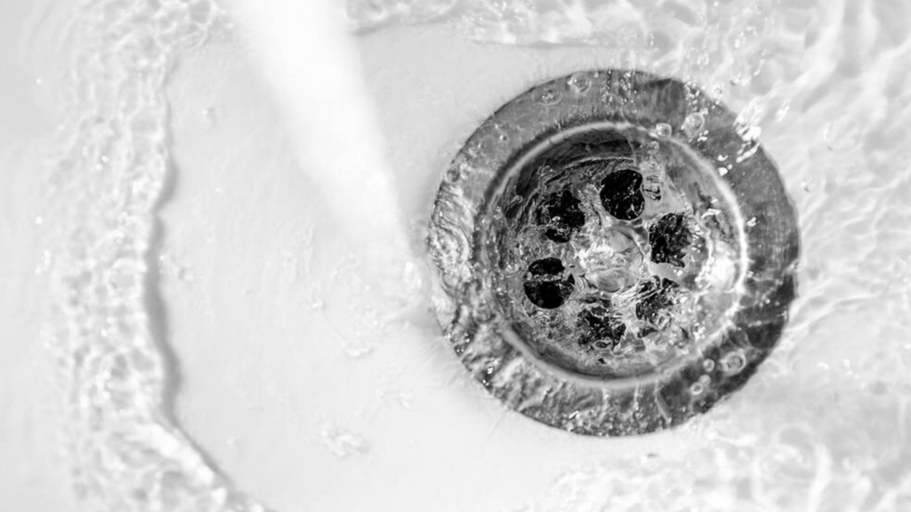 biological drain treatment